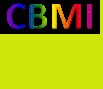 CBMI 2013